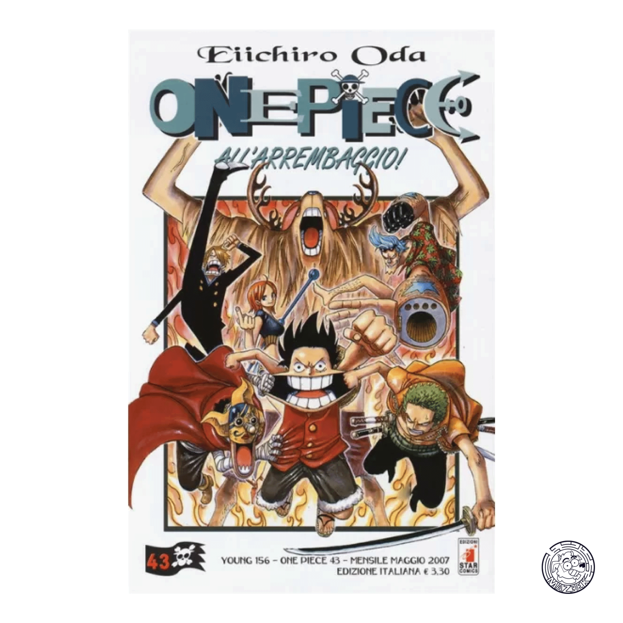 One Piece 43