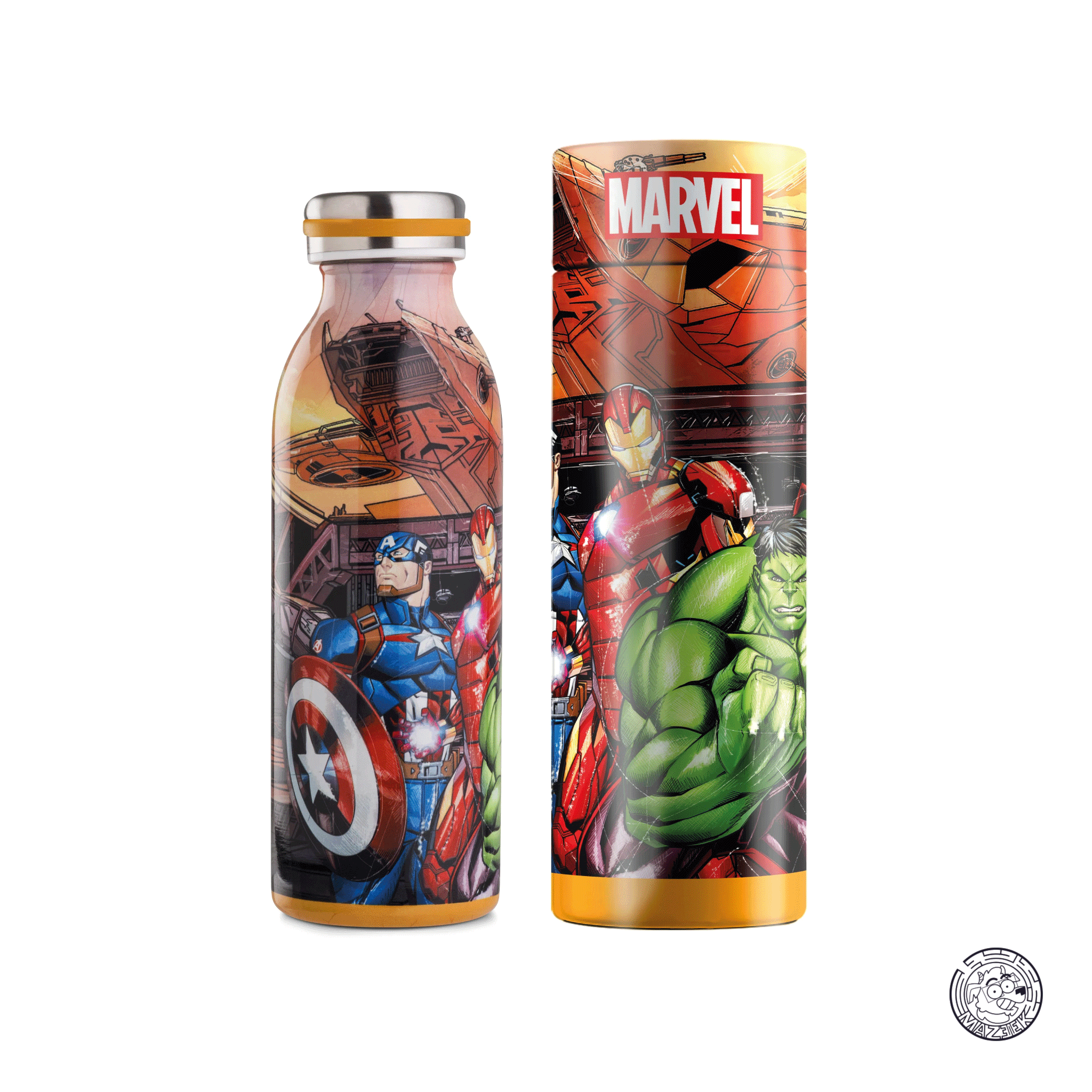 Water bottle: Dragon Ball (580 ml)