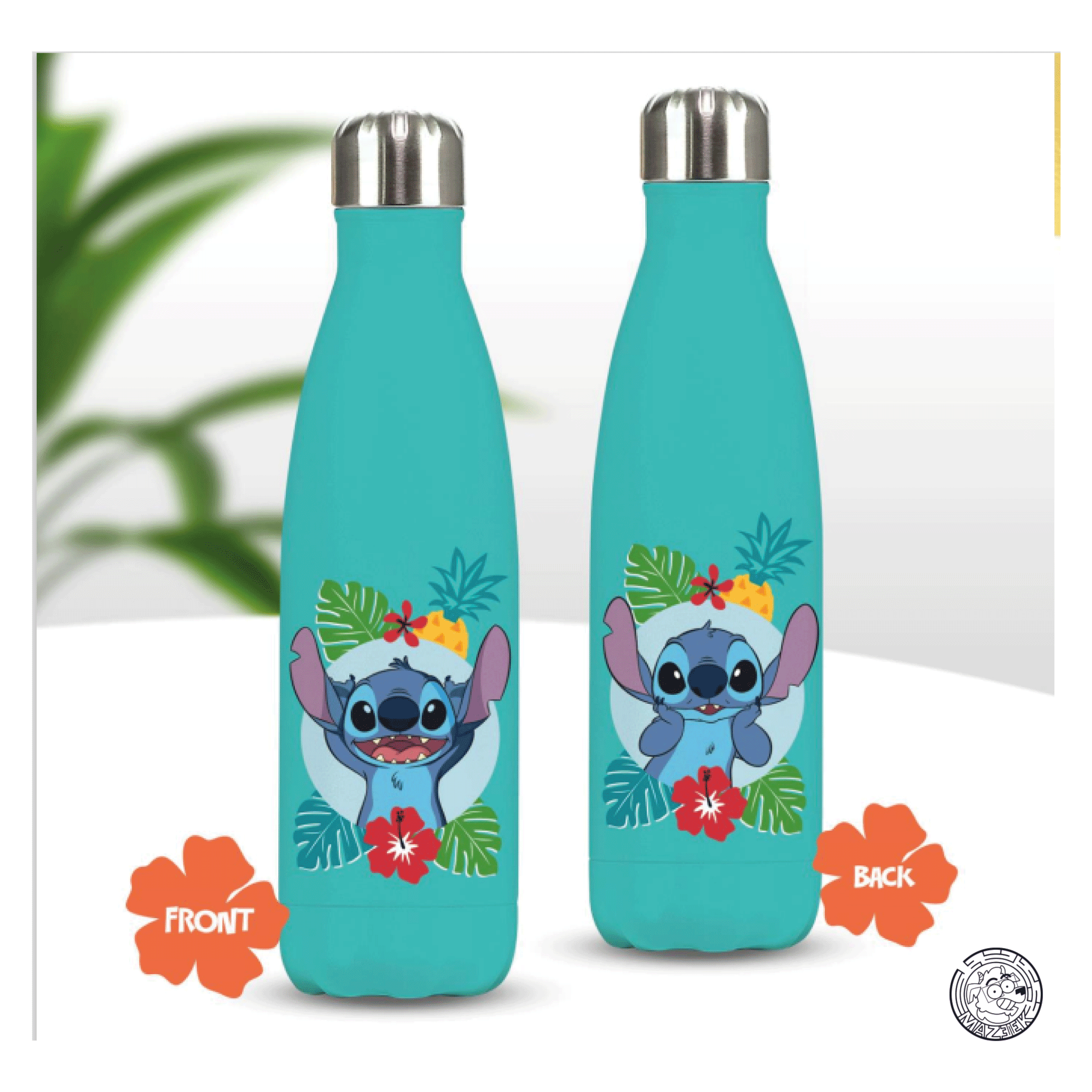 Water bottle: Dragon Ball (580 ml)