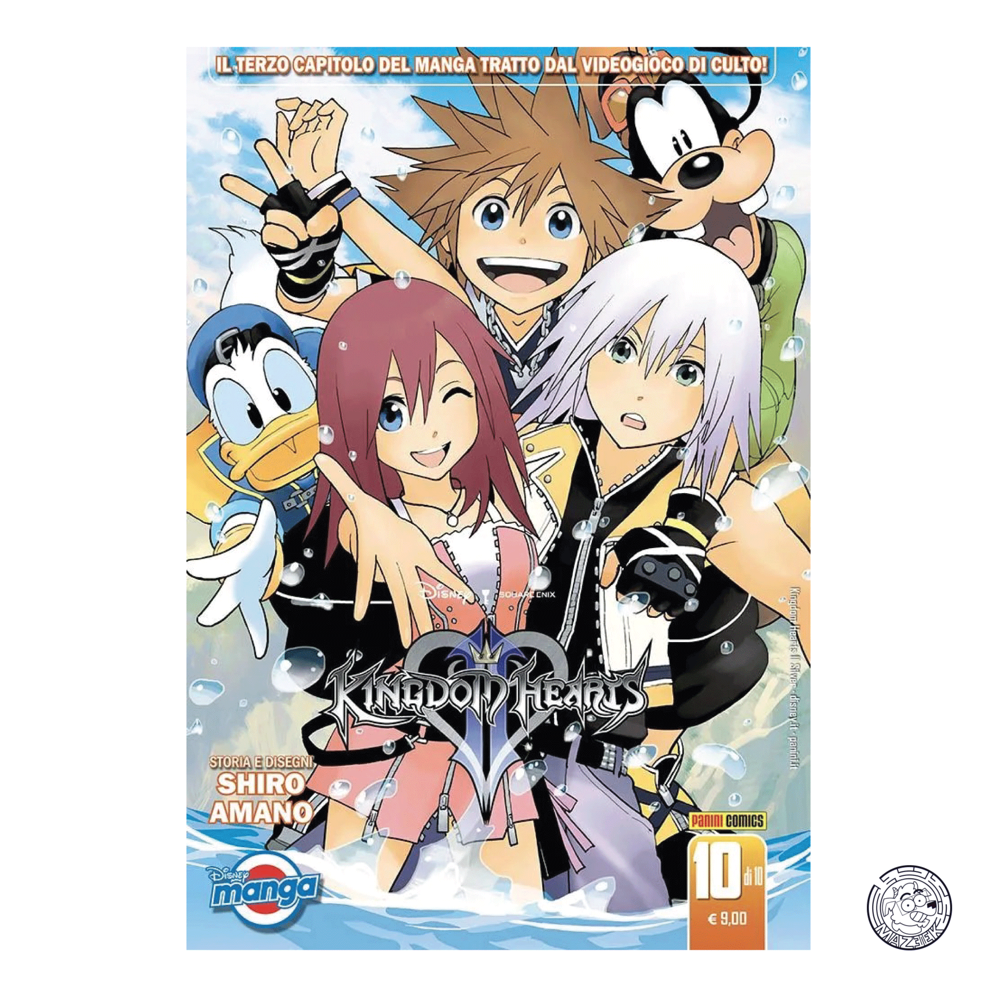 Kingdom Hearts II Silver 10