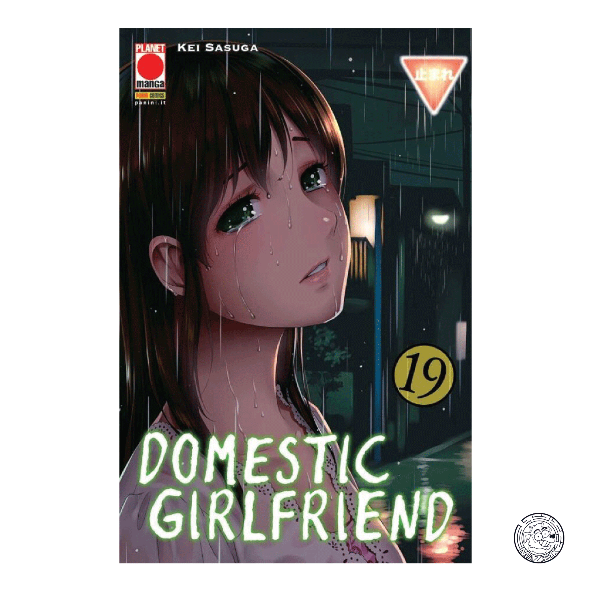 Domestic Girlfriend 19