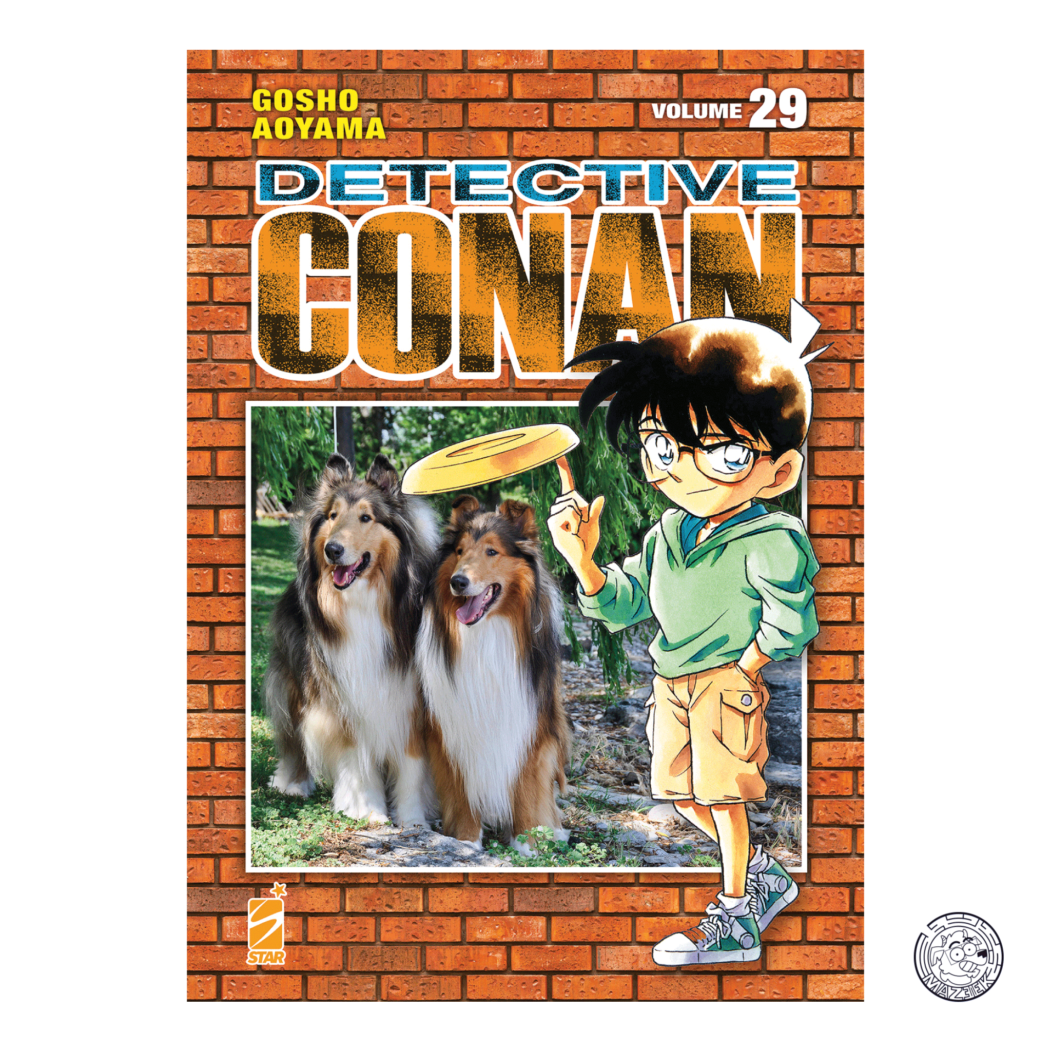 Detective Conan New Edition 29