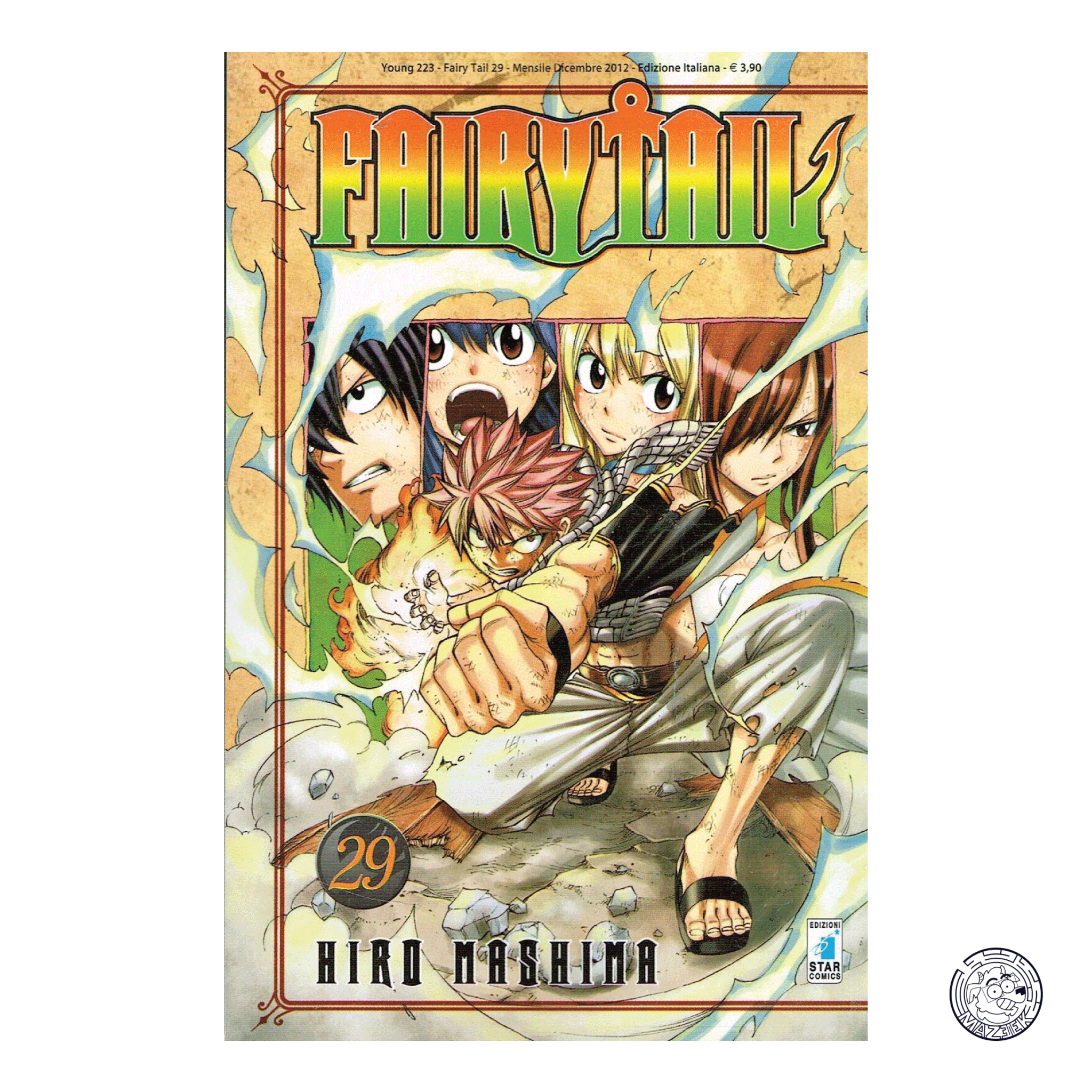 Fairy Tail 29