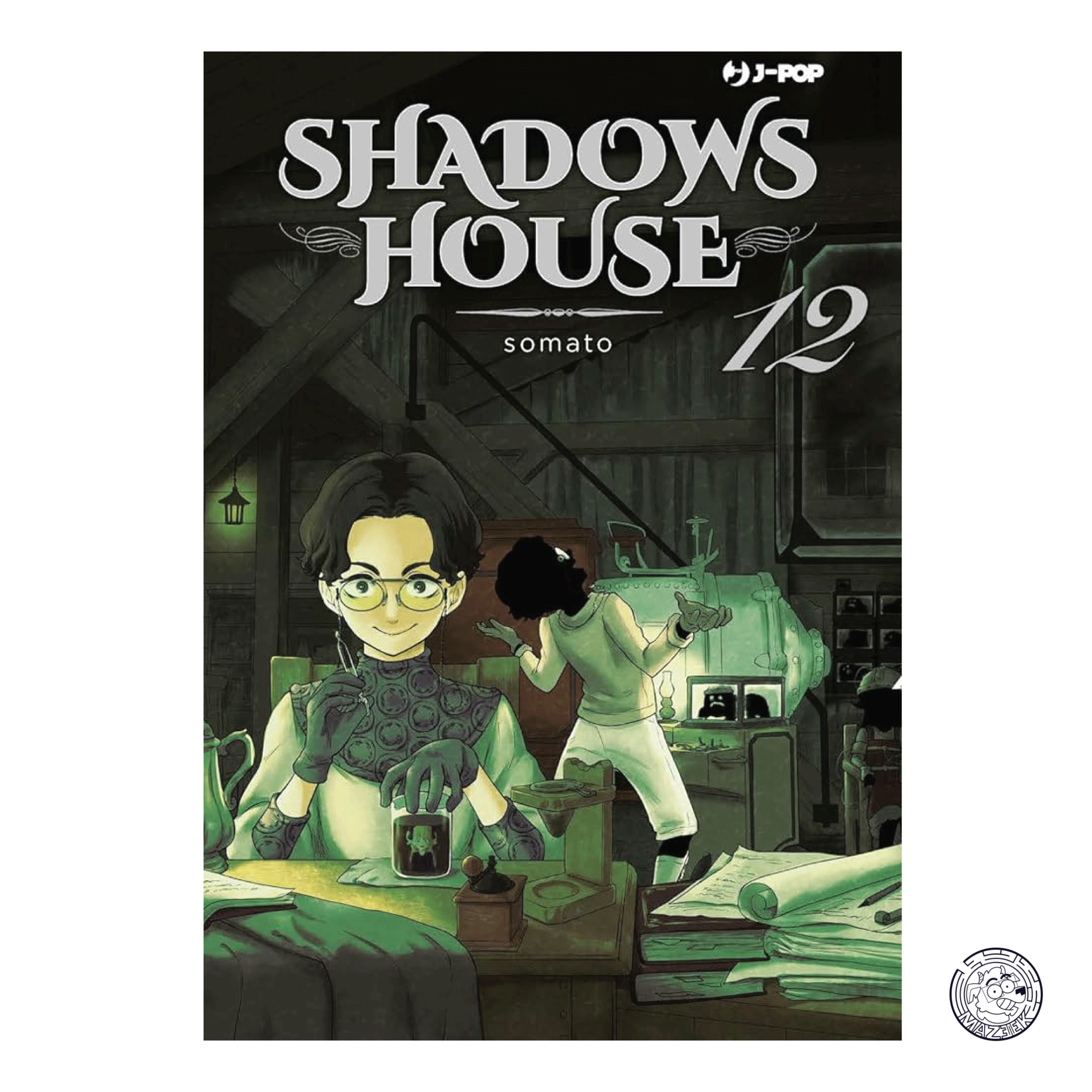 Shadows House 12