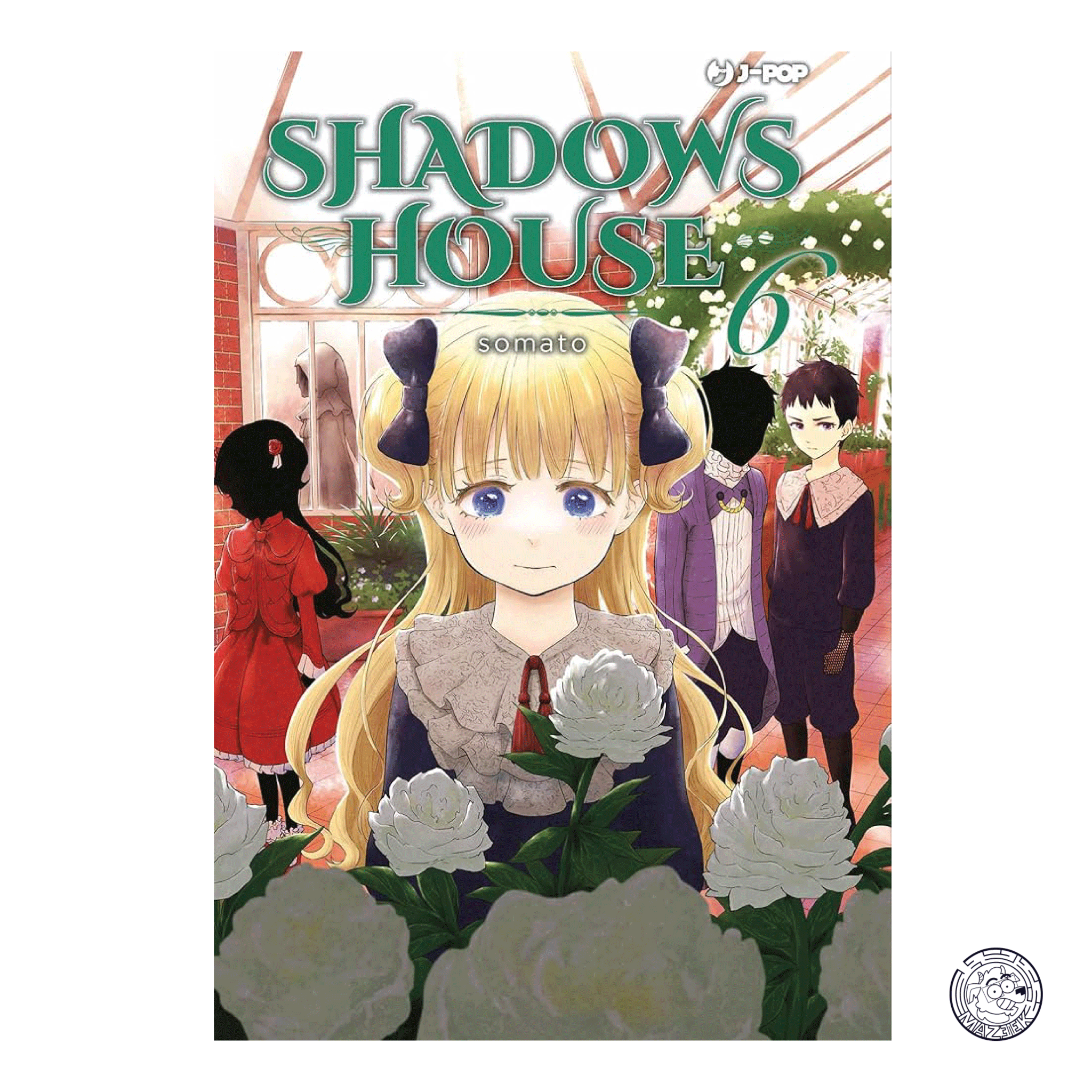 Shadows House 06