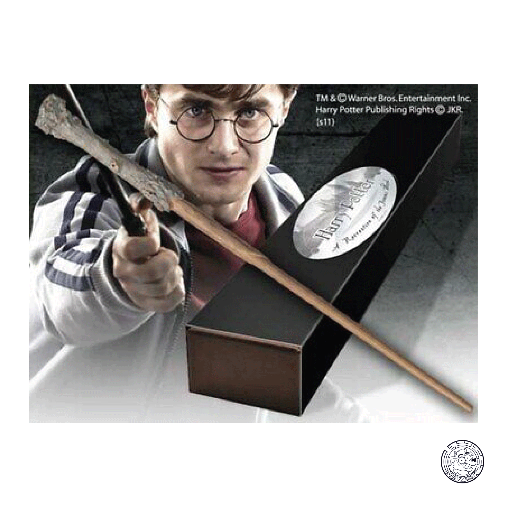 Bacchetta Magica Harry Potter: Harry Potter Character Edition ORIGINALE